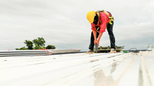 Best Chimney Flashing Repair  in Rock Creek, AL